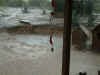 Rainstorm July 2006 003.jpg (97965 bytes)